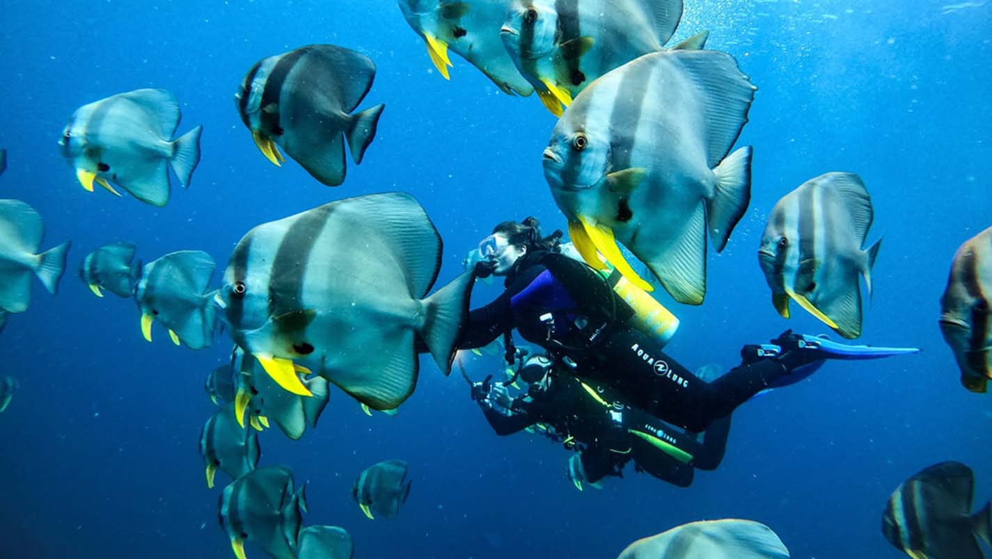Exploring the Depths: Diving and Snorkeling Adventures in the Maldives