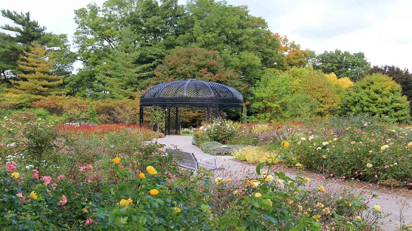 Hamilton’s Royal Botanical Gardens: A September Journey Through Hidden Sanctuaries